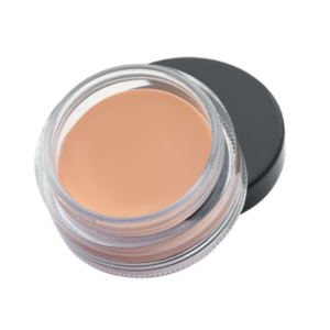 Perfect Finish Concealer - 3g