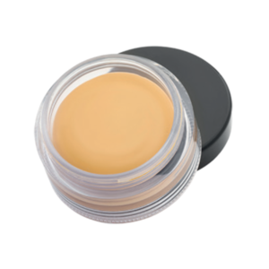 Perfect Finish Concealer - 3g